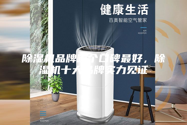 除濕機品牌哪個口碑最好，除濕機十大品牌實力見證