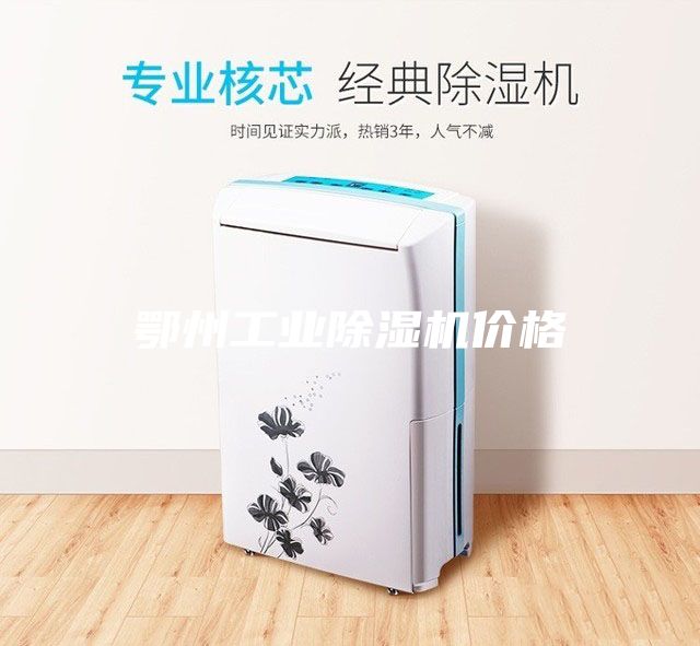 鄂州工業(yè)除濕機(jī)價(jià)格