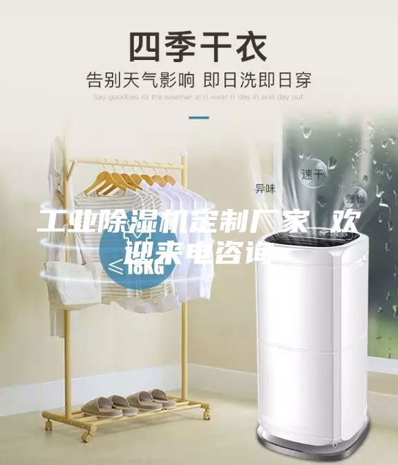 工業(yè)除濕機(jī)定制廠家 歡迎來(lái)電咨詢(xún)