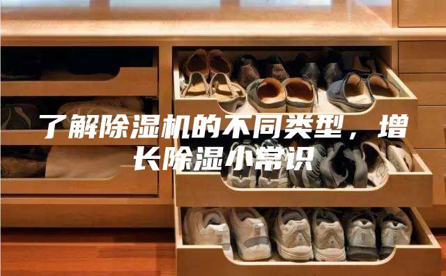 了解除濕機的不同類型，增長除濕小常識