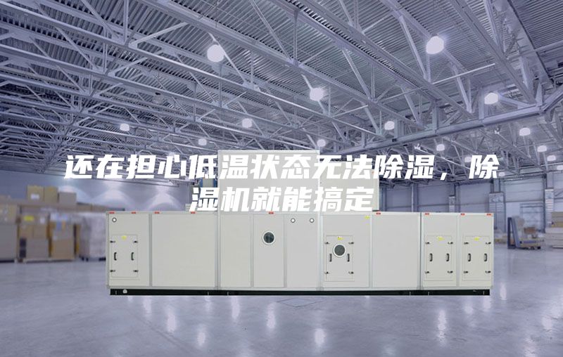 還在擔(dān)心低溫狀態(tài)無法除濕,除濕機(jī)就能搞定