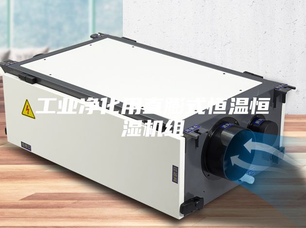 工業凈化用直膨式恒溫恒濕機組