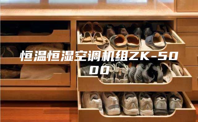恒溫恒濕空調機組ZK-5000