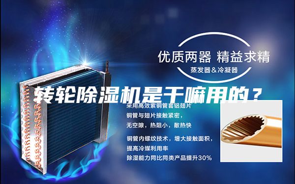 轉(zhuǎn)輪除濕機是干嘛用的？