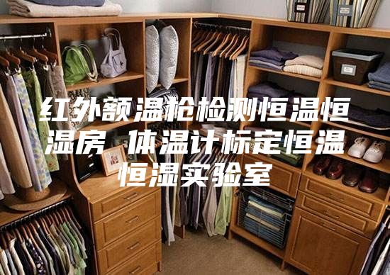 紅外額溫槍檢測恒溫恒濕房 體溫計(jì)標(biāo)定恒溫恒濕實(shí)驗(yàn)室