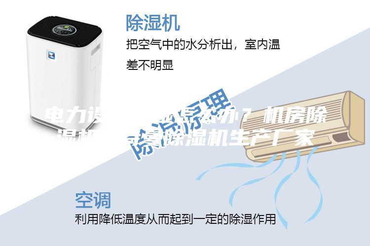 電力設備潮濕怎么辦？機房除濕機安詩曼除濕機生產廠家