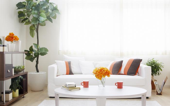 蔬菜加濕器，讓新鮮蔬菜保鮮更省心