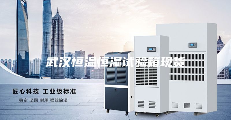 武漢恒溫恒濕試驗箱現(xiàn)貨