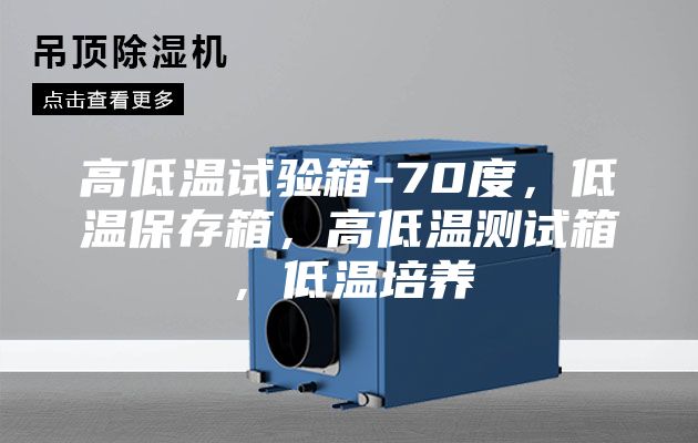 高低溫試驗箱-70度，低溫保存箱，高低溫測試箱，低溫培養(yǎng)